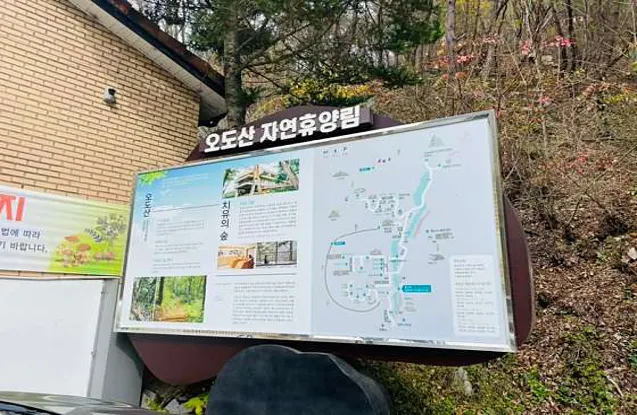 오도산자연휴양림