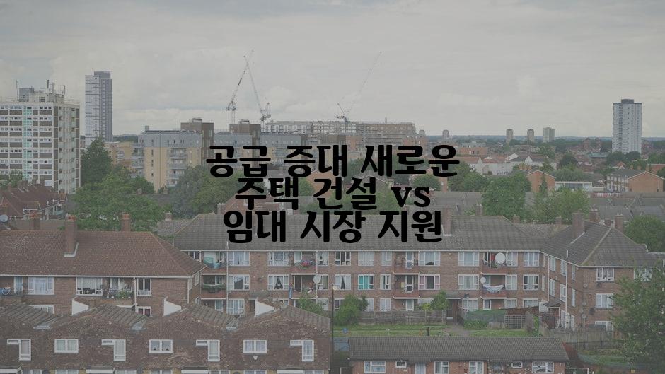 공급 증대 새로운 주택 건설 vs 임대 시장 지원