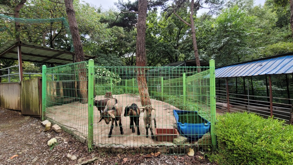 고운식물원 산책하기 좋네 청양 가볼만한곳,