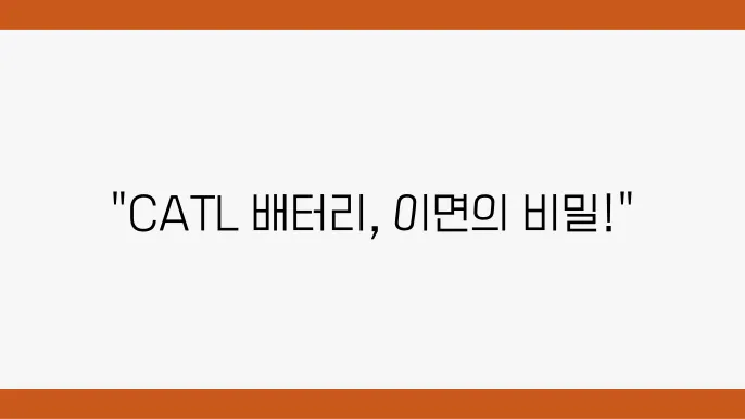 CATL의 미래와 전망