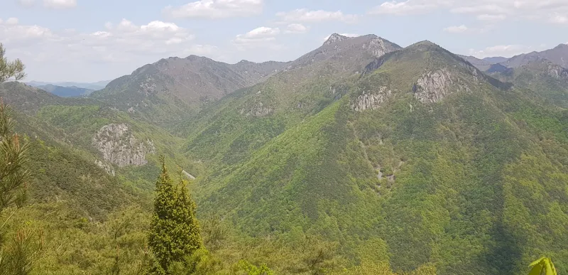 밀양 구만산