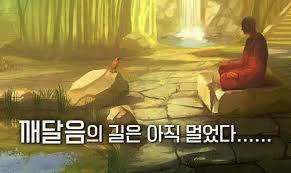  행복 전혀 못느끼고 사는게 힘듭니다