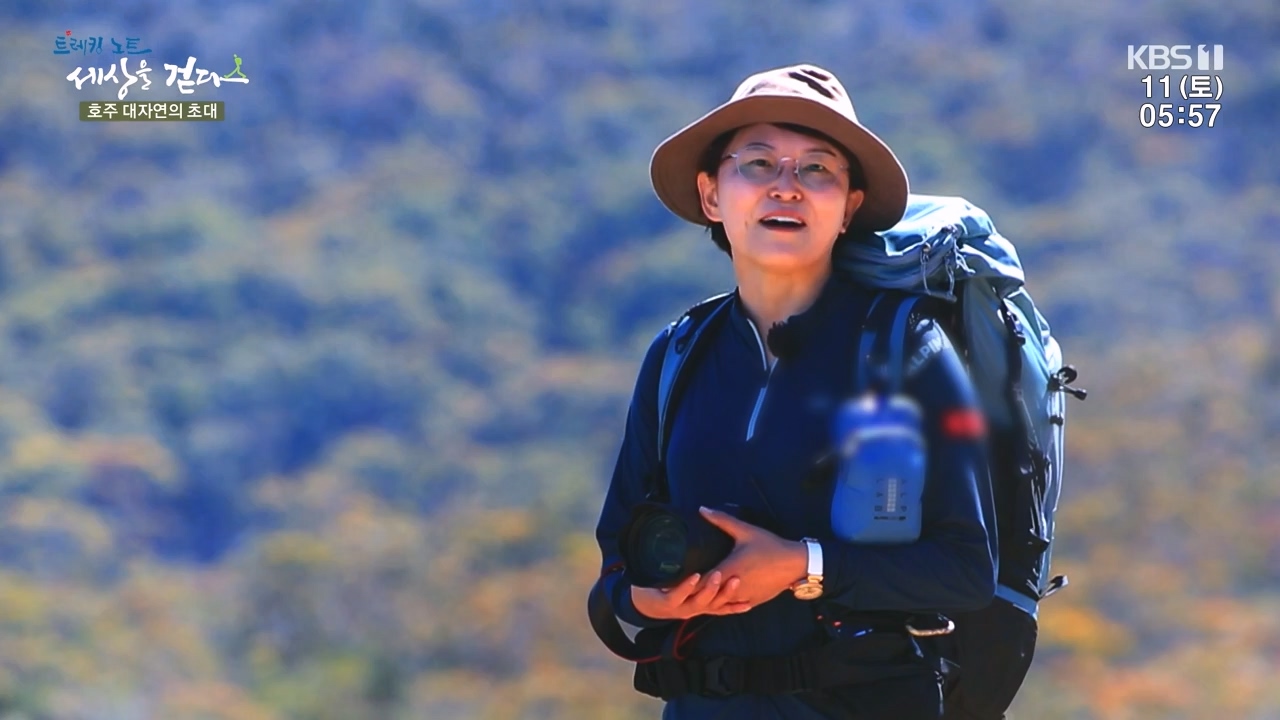 트레킹노트 세상을 걷다.E296.231112p-NEXT.mp4_20231111_182100.241.jpg