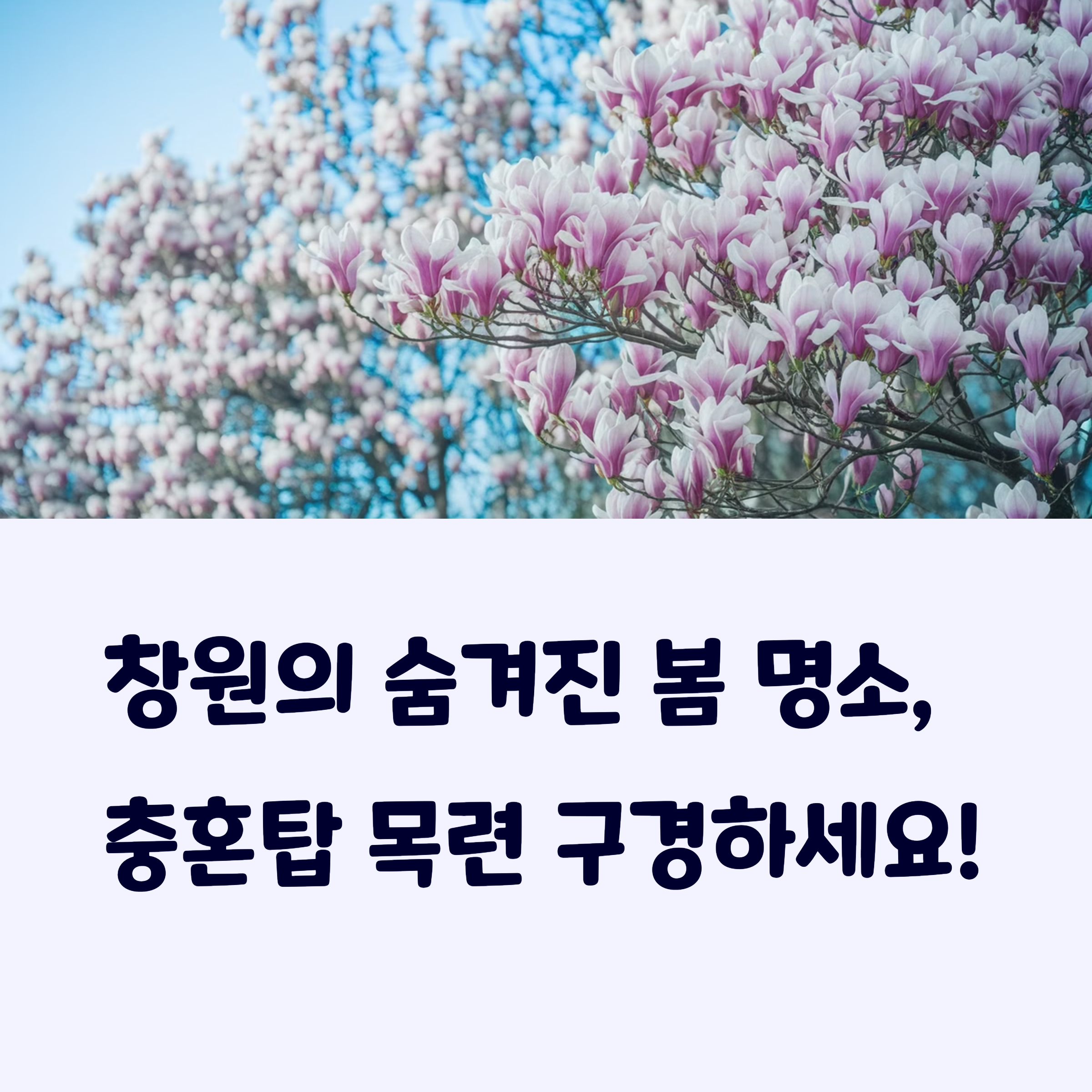 창원여행