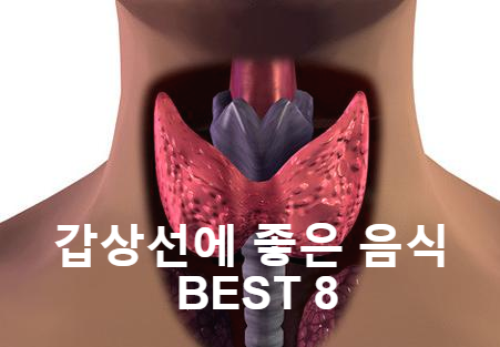  갑상선에 좋은 음식 BEST 8