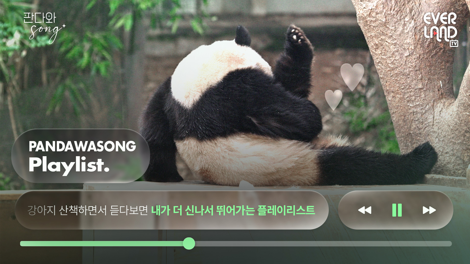 [𝟰𝗞] 강아지 산책하면서 듣다 보면... 내가 더 신나서 뛰어가는 𝗣𝗟𝗔𝗬𝗟𝗜𝗦𝗧｜#판다와Song #10