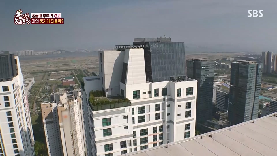 TV 동물농장.E1125.230618p.H264-F1RST.mp4_20230618_192112.150.jpg