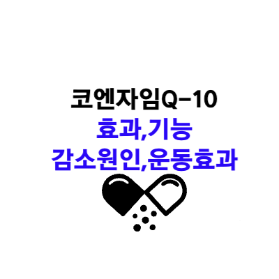 코엔자임Q-10 효과 기능&#44; 감소원인&#44; 운동효과