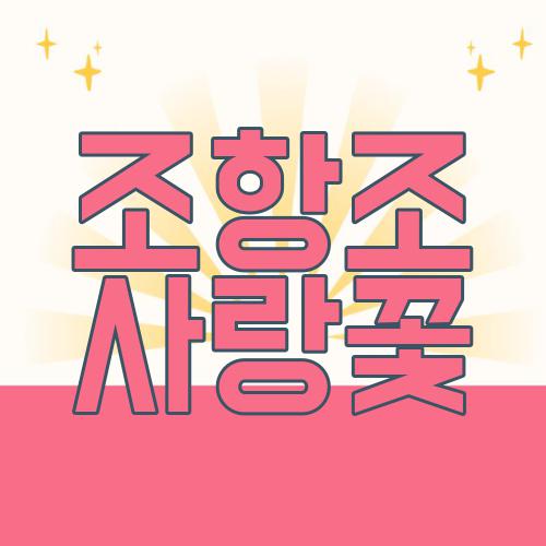 조항조 사랑꽃