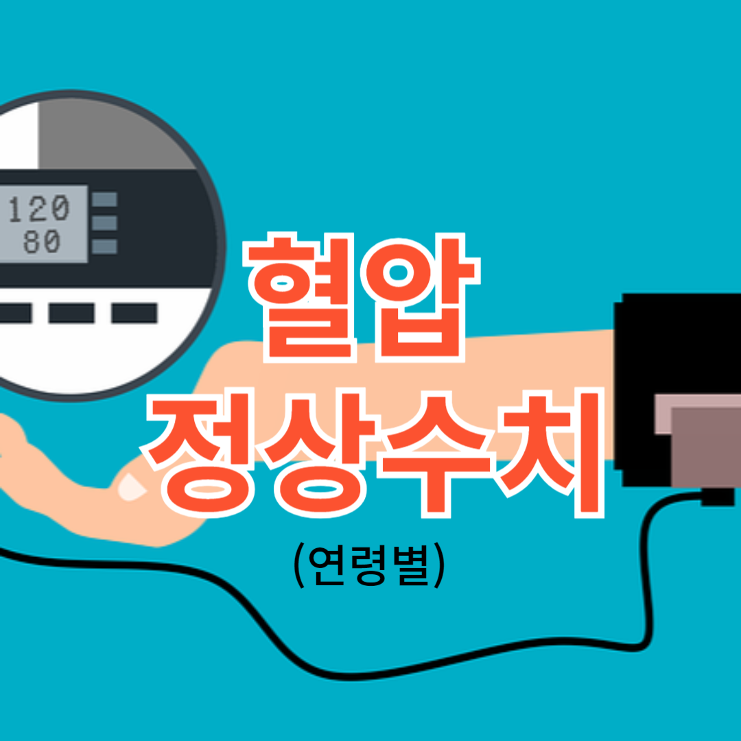 혈압 정상수치