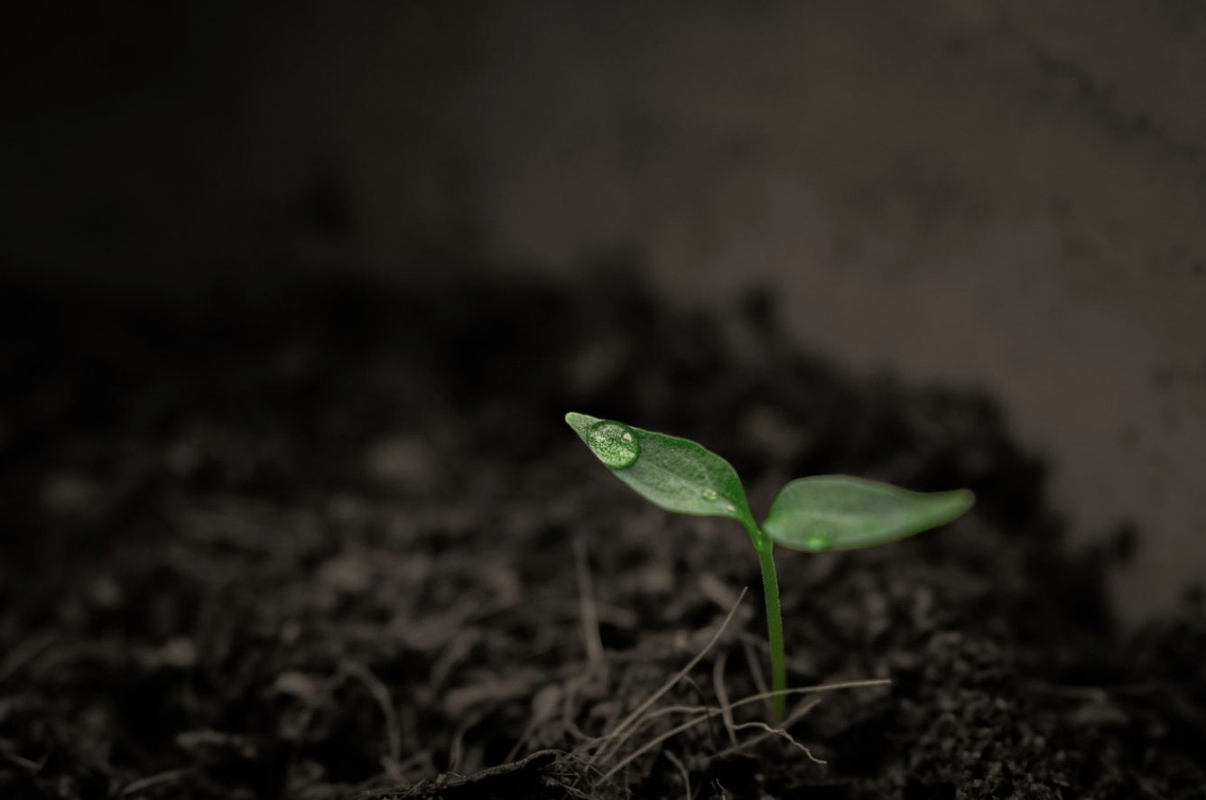 정신적 회복력(Resilience) 기르기: 실패를 성장으로 바꾸는 법