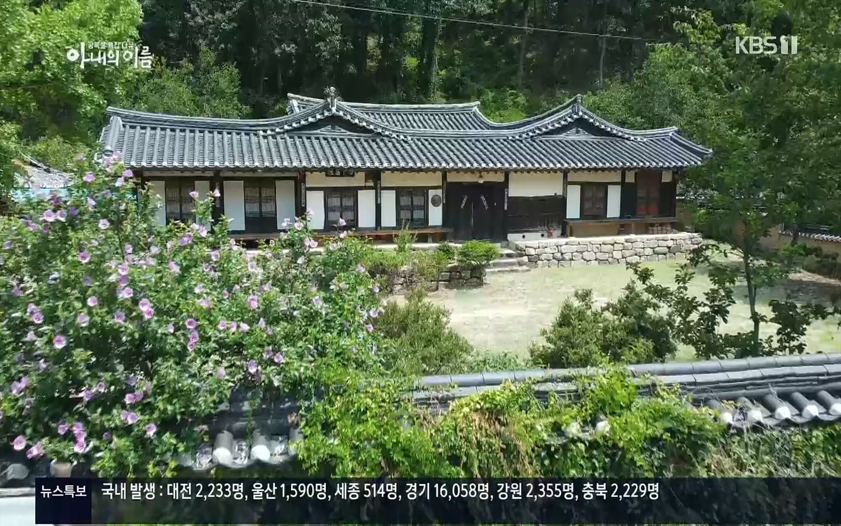 광복절 특집 다큐 아내의 이름.220815p.H264-F1RST.mp4_20220822_145210.268.jpg