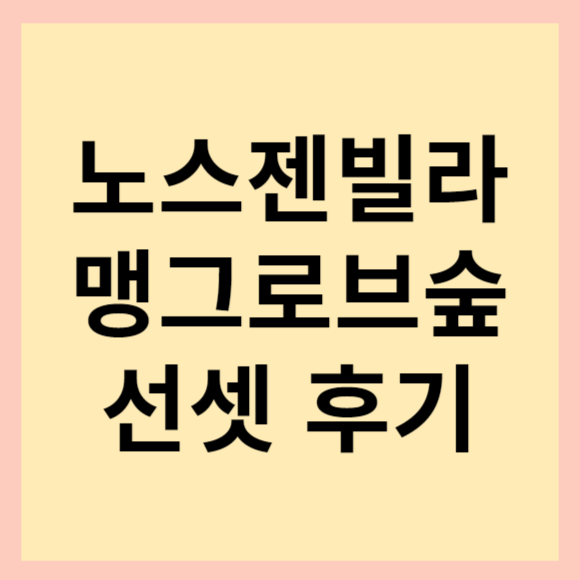  노스젠빌라 맹그로브숲 노을 맛집 인정. 노스젠빌라 선셋, 밤수영 솔직 후기 남겨드려요.
