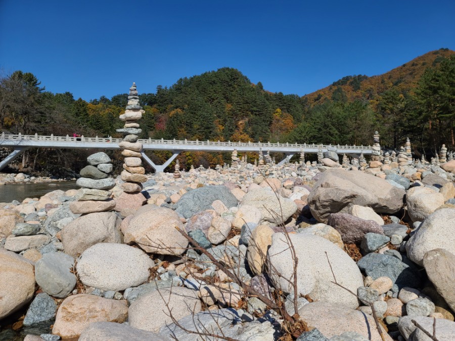 백담사 단풍 멋지다 ( 셔틀버스안내 ) 강원도 인제 여행 / 설악산 24