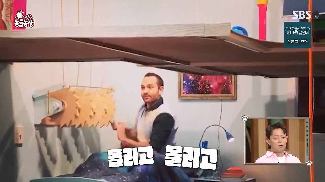 TV 동물농장.E1172.240520p-NEXT.mp4_20240519_162205.904.jpg