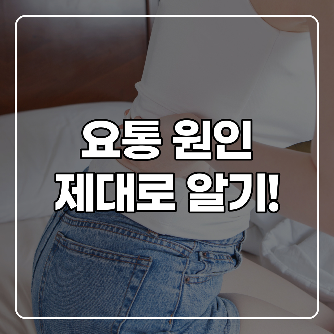  요통의 원인은 뭘까?(+급성vs만성 차이점)