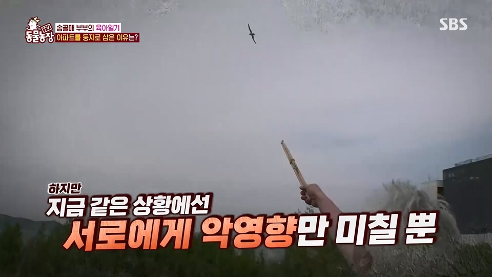 TV 동물농장.E1125.230618p.H264-F1RST.mp4_20230618_192118.227.jpg