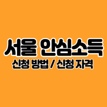 서울안심소득신청방법자격