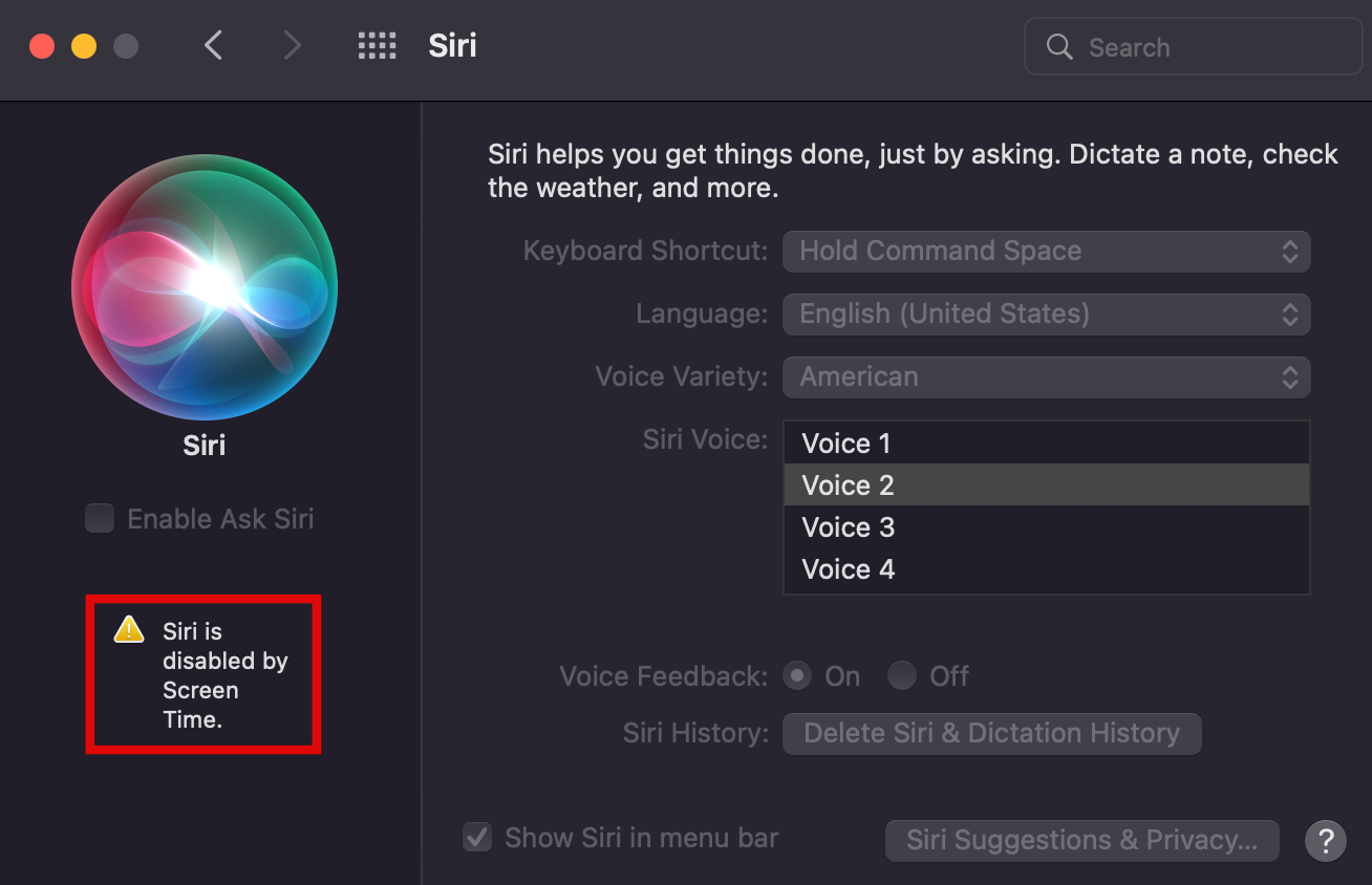 Siri is disabled by Screen Time