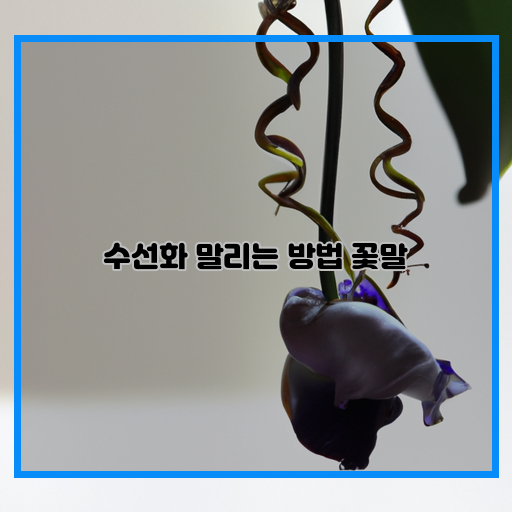  완벽한 수선화 말리기: 꽃말이 궁금하다면?