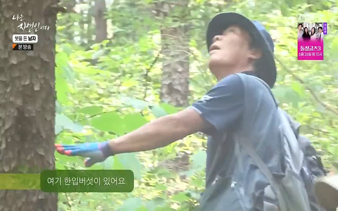 나는 자연인이다.E506.220616p-NEXT.mp4_20220616_200854.071.jpg