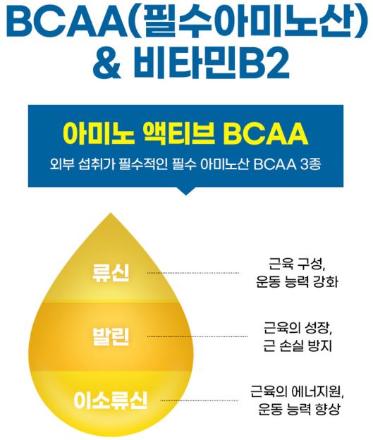 필리브 아르기닌