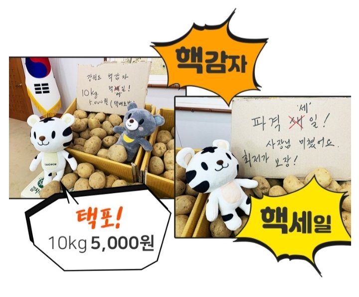  최문순 강원지사 강원 감자'10kg 5천원' (http://jinpoomshop.kr/,https://smartstore.naver.com/gw-mart)  구매처 주소 바로가기