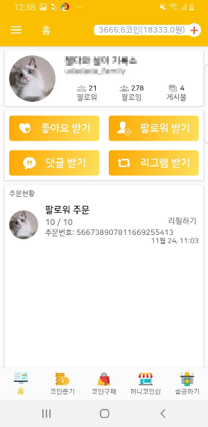 허니코인 사진