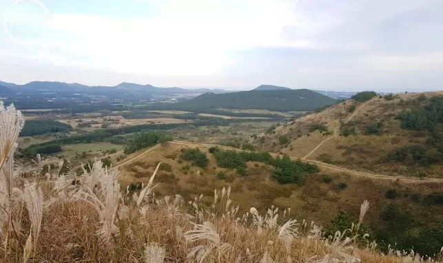 제주도 사진