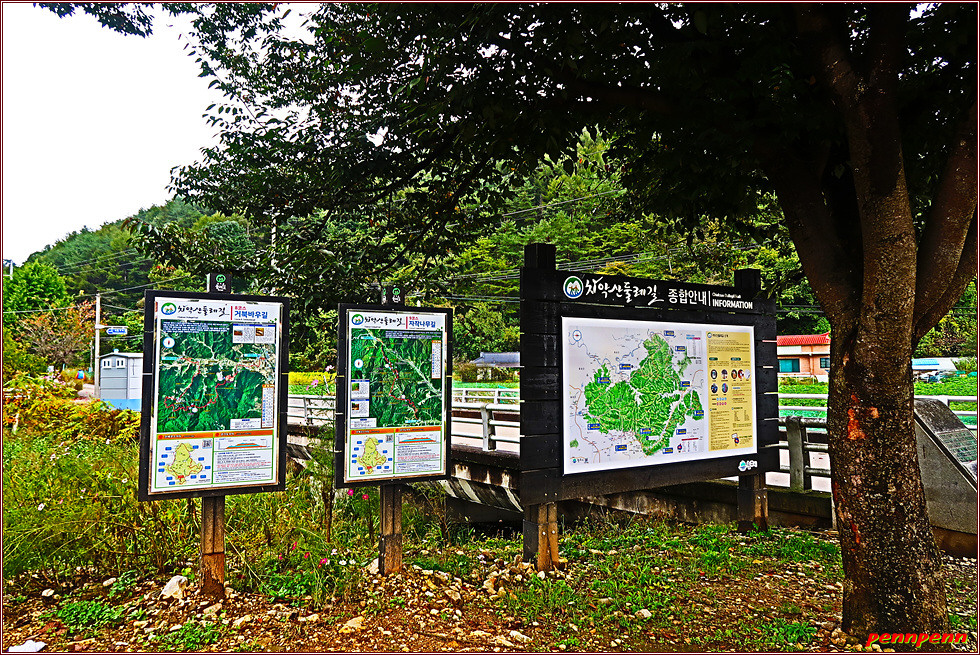 구학리산채관광마을 이미지