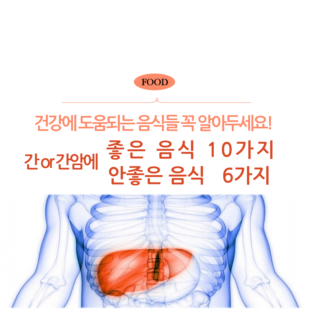 간 간암에 좋은 음식 안좋은 음식