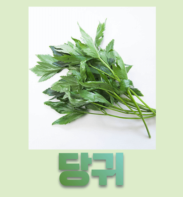  당귀효능, 참당귀와 일당귀의 차이와 섭취시 주의사항