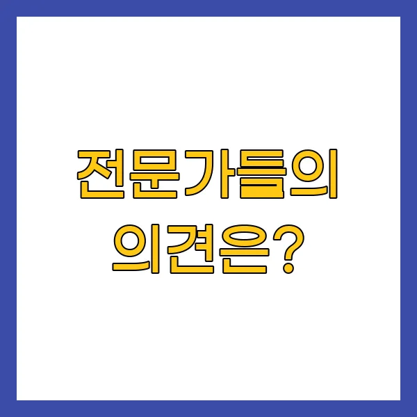 전문가들의 의견