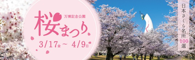 2023 오사카 벚꽃 축제 Best 05 Best Blossom Spots + Near Kyoto
