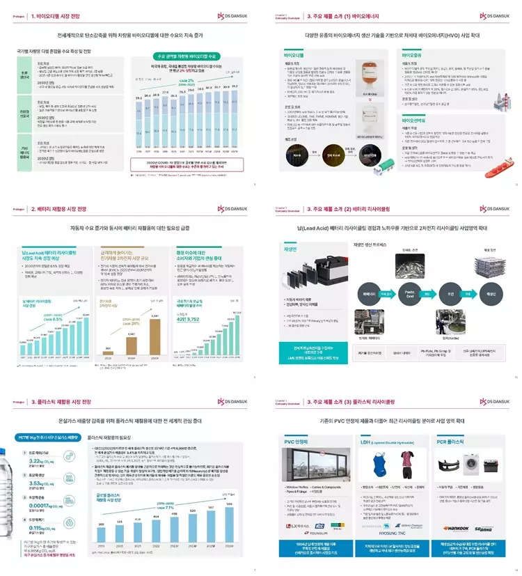DS단석-사업부문전망과-주요제품