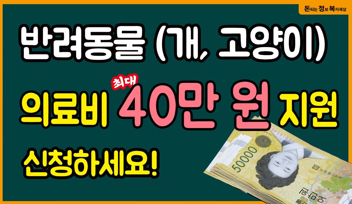  반려동물 지원정책, 의료비 지원(최대 40만 원), 진료비 부가세 면제 등