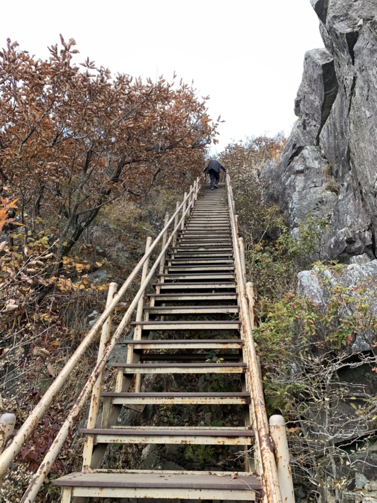 오서산 최단코스 [BAC 100대명산 / 보령 오서산 최단코스] 오서산자연휴양림 ~ 월정사 16
