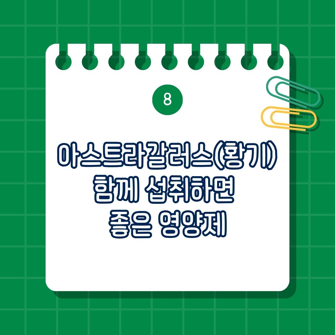 아스트라갈러스(Astragalus, 황기) 함께 섭취하면 좋은 영양제, 함께 섭취하면 도움 되는 영양제, 같이 복용하면 좋은 성분