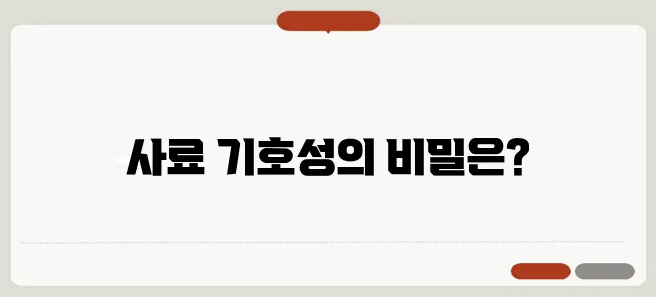 강아지 사료, 기호성을 고려한 마이펫닥터의 노하우가 빛나고 있습니다.