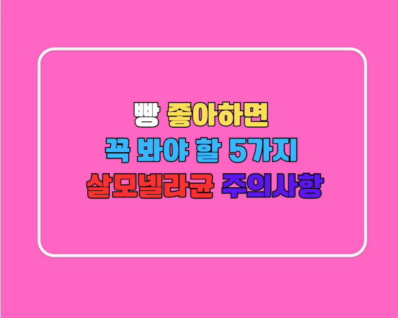 빵 좋아하면 꼭 봐야 할 5가지 살모넬라균 주의사항