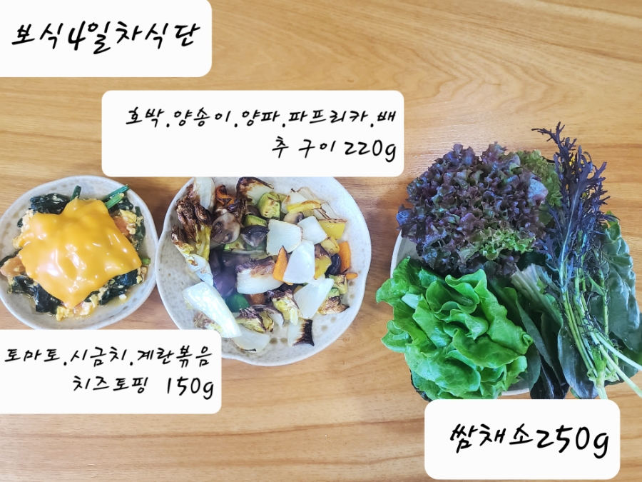 14일 & 보식총정리 2