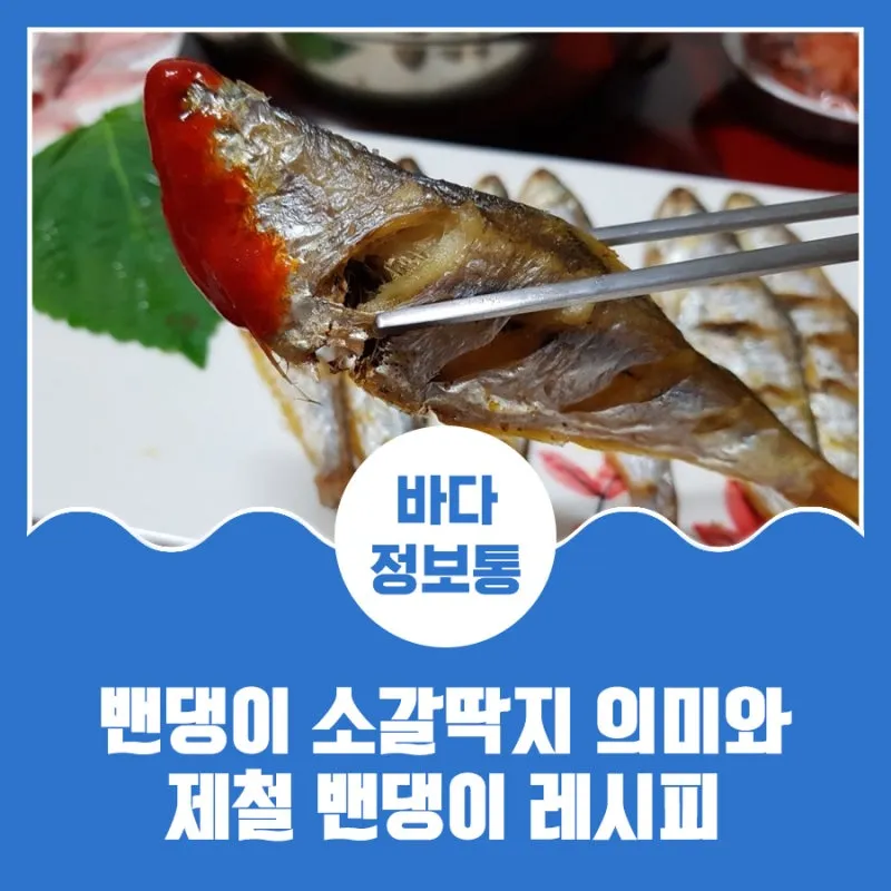 밴댕이 소갈딱지 뜻 사용 방법 용례 예시_1