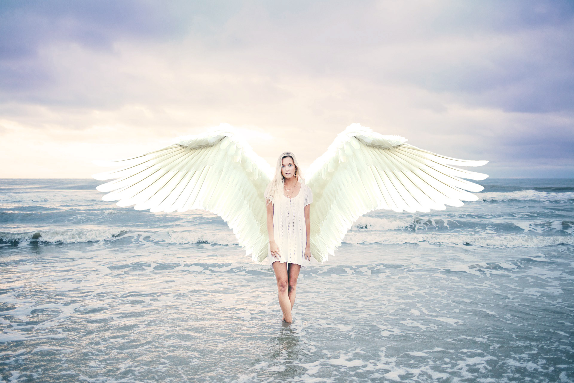 angel wings