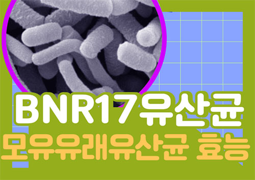 BNR 17 유산균의 모든 것: 효능부터 부작용&#44; 먹는 방법까지