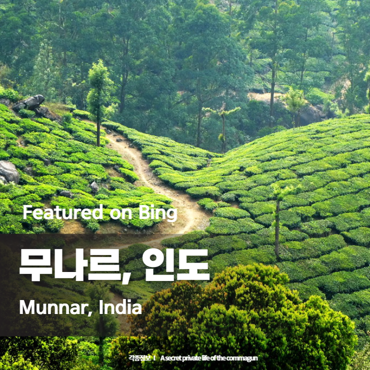 Featured on Bing - 무나르&#44; 인도 Munnar&#44; India