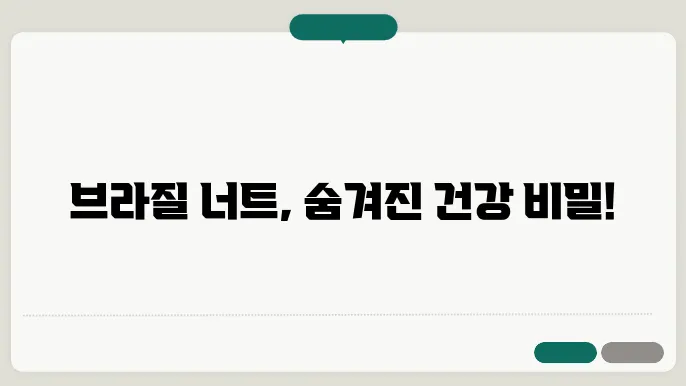 브라질 너트의 효능