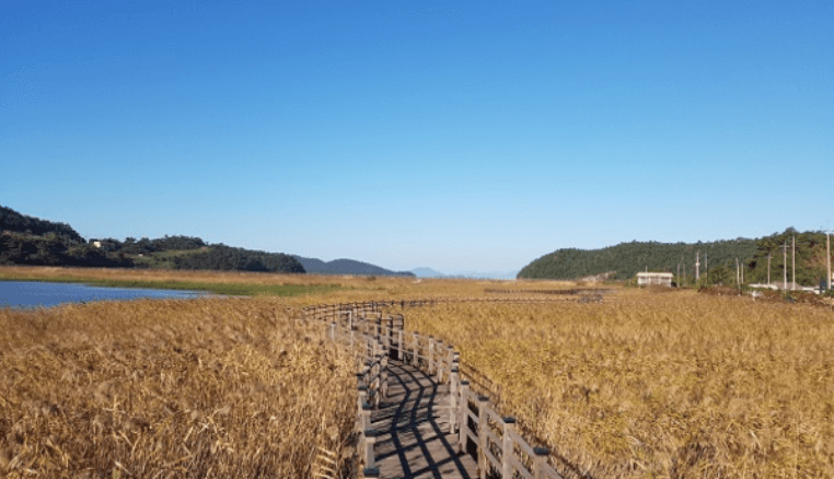 [코리아둘레길 남파랑길 59코스] 여자만의 아름다운 풍광을 즐기며 걷는 힐링 여행