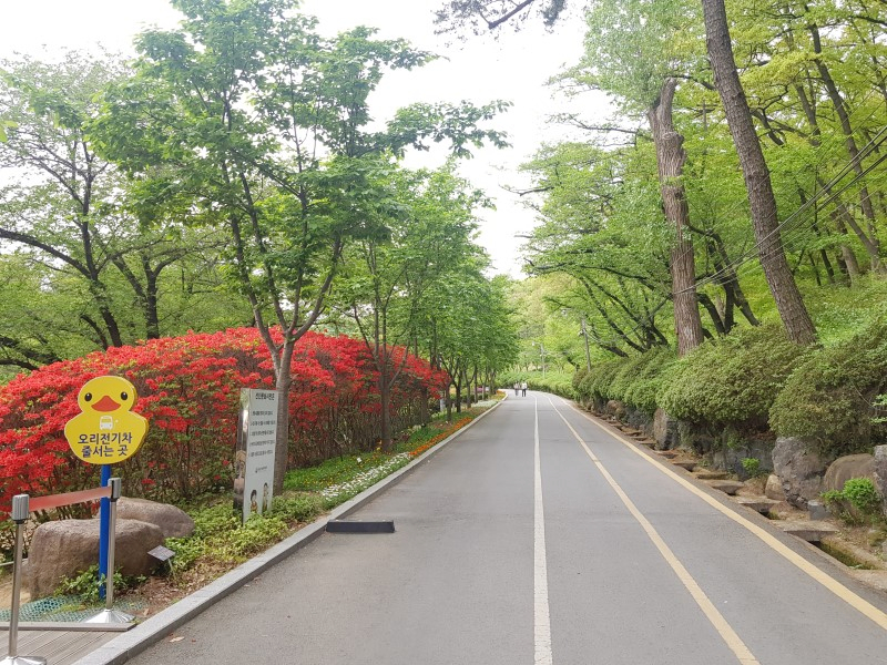 영천 가볼만한곳 베스트10 대구여행 가볼만한곳 팔공산 18