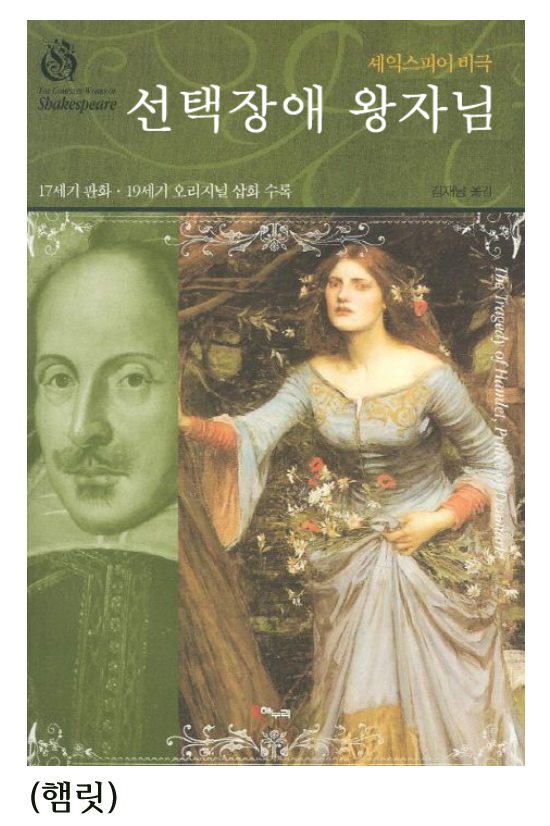 세익스피어 비극 
선택장애 왕자님 
17세기 판화 19세기 오리지널 삽화 수록 
김재성 
(햄릿) 
The Tragedy of Hamlet, Prince of Denmark