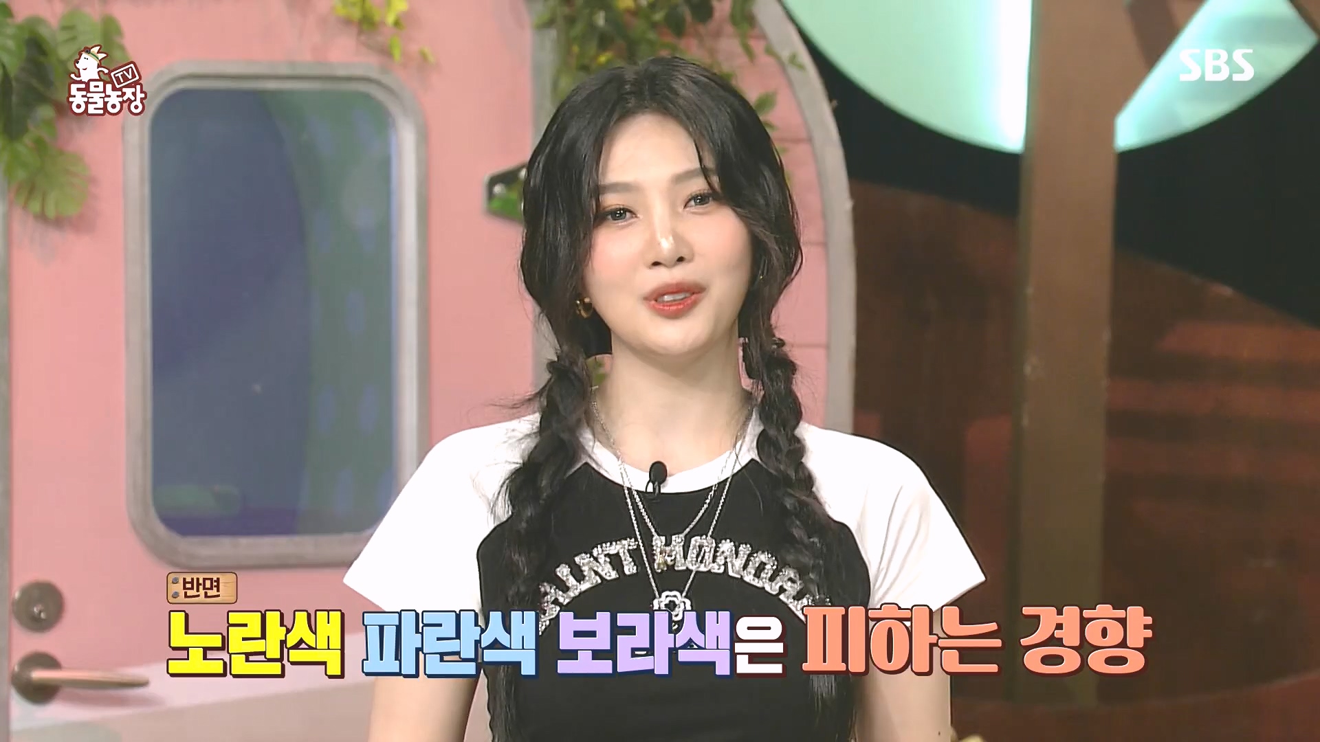 TV 동물농장.E1182.240728p.H264-F1RST.mp4_20240728_152519.326.jpg